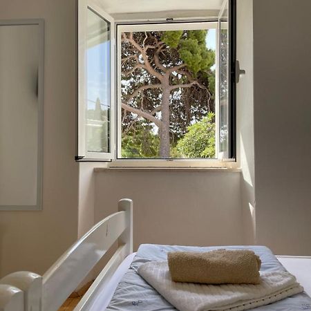 Tree Apartman Dubrovnik Kültér fotó